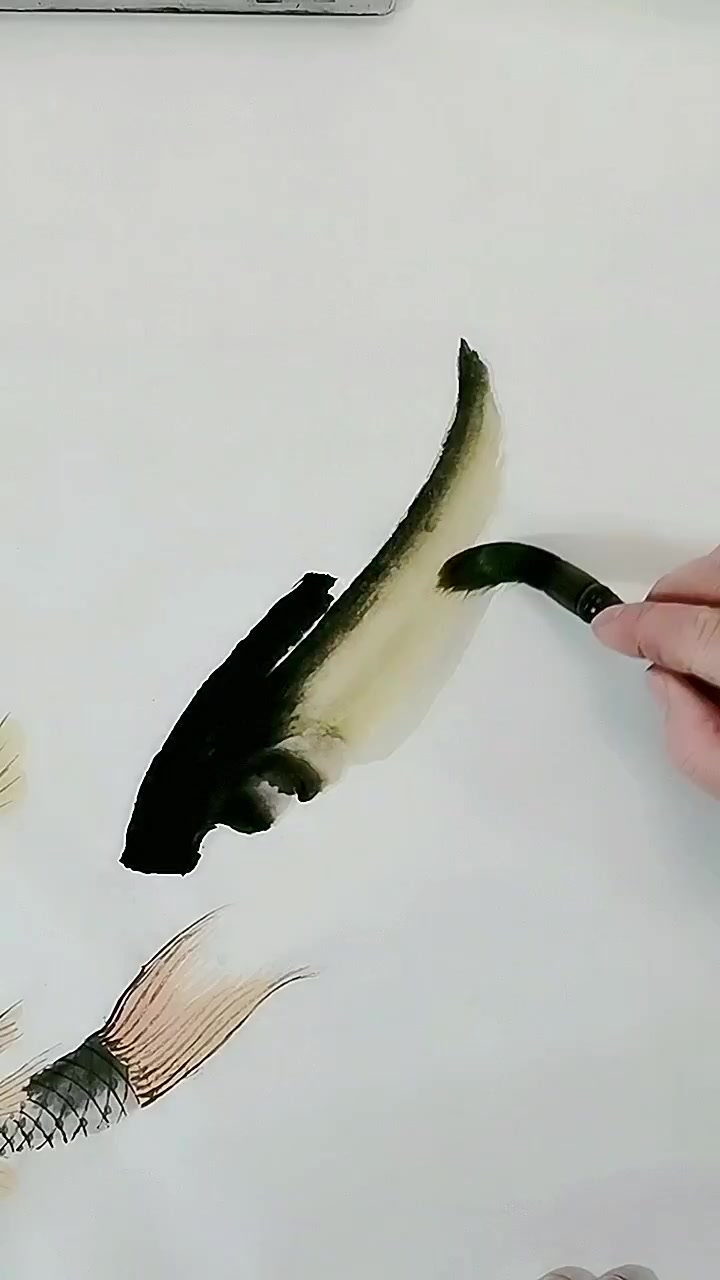 画鲤鱼