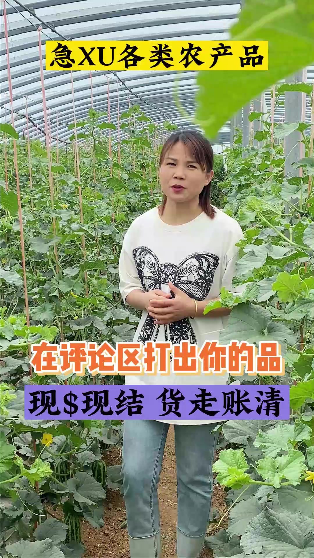 果蔬 你在哪个城市?有什么农产品?水果 蔬菜