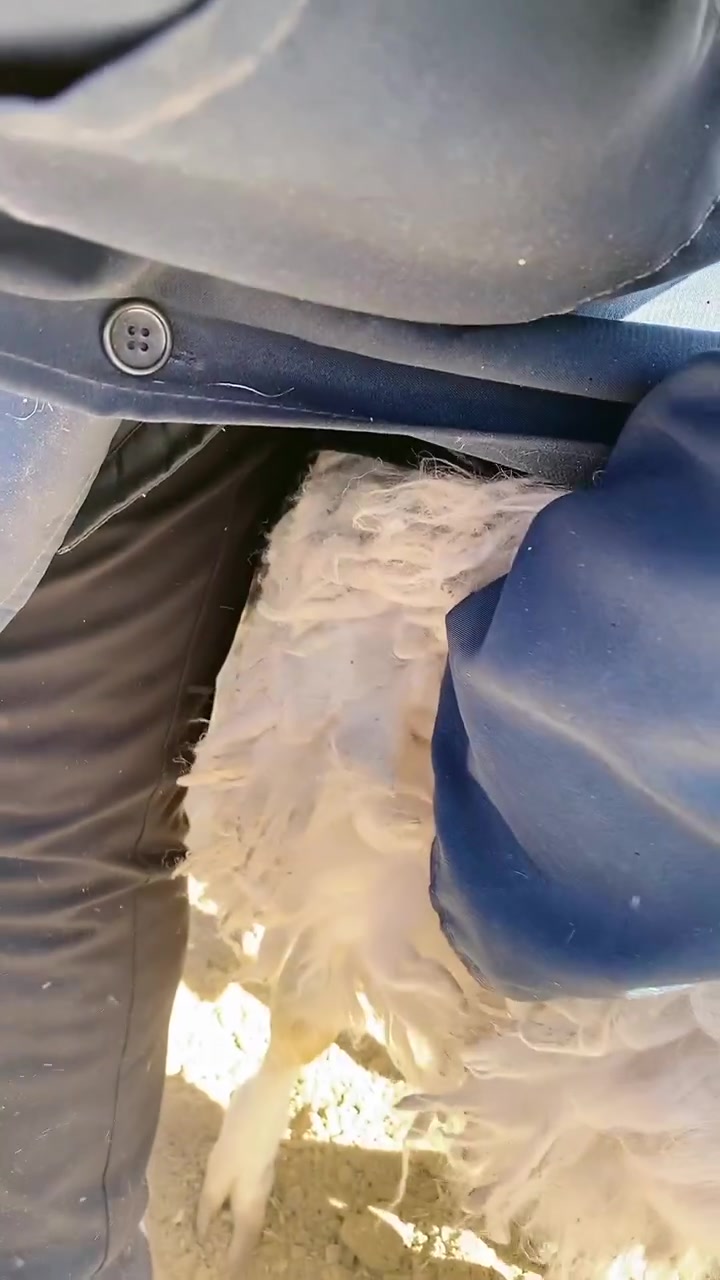 来吧!手把手教你 肌肉注射位置 一听就会