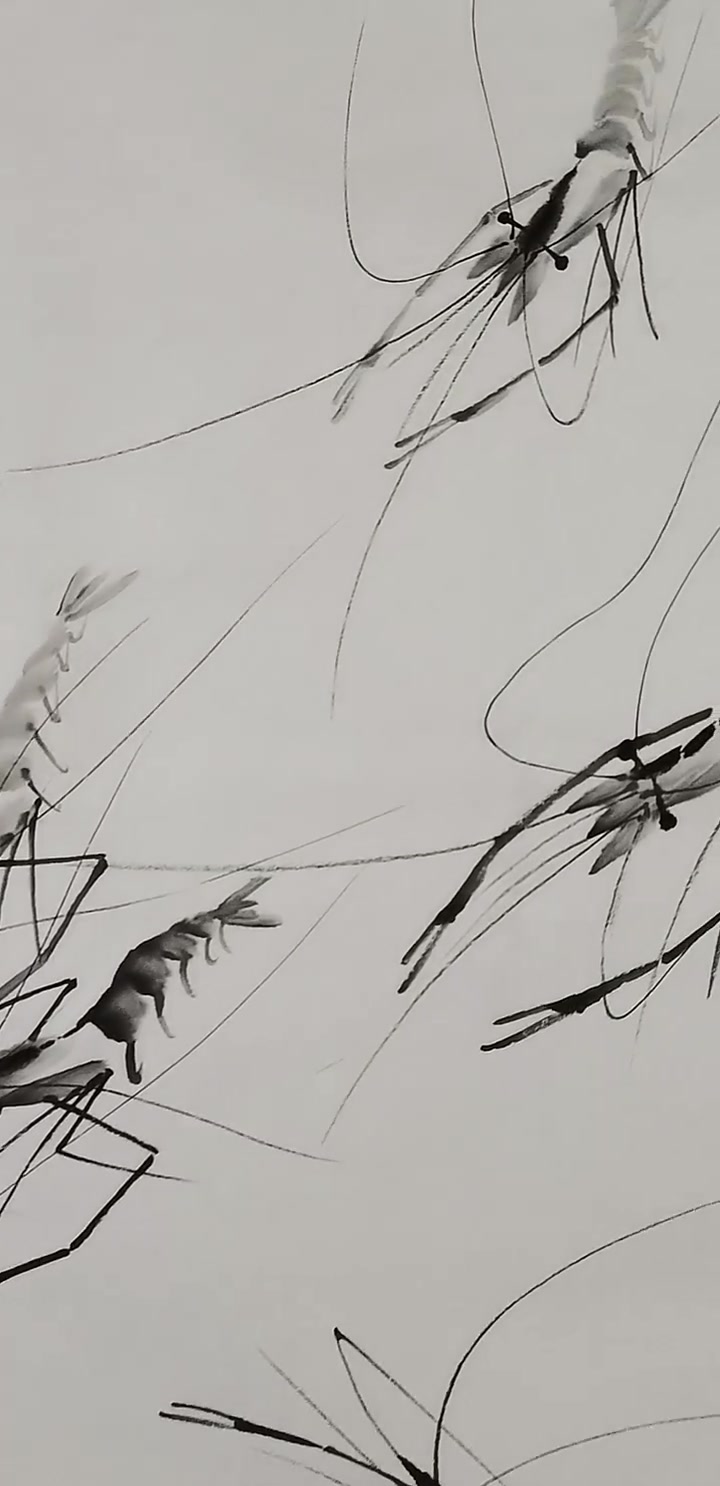 齐白石水墨虾