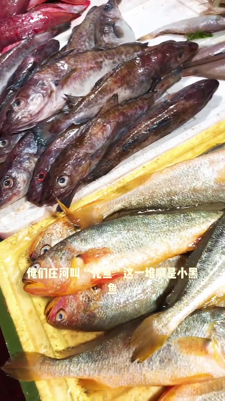 庄河早市溜达溜达,各种新鲜的海货让人眼花缭乱……