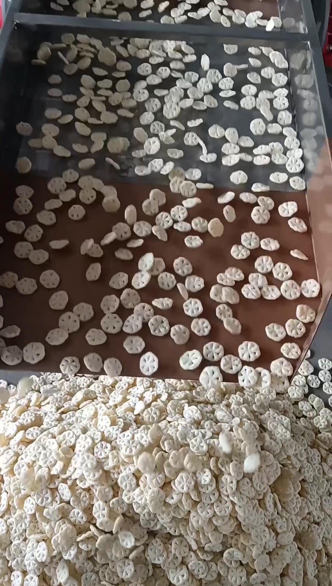 儿童非油炸零食加工设备 车轮型泡芙圈膨化机试机展示