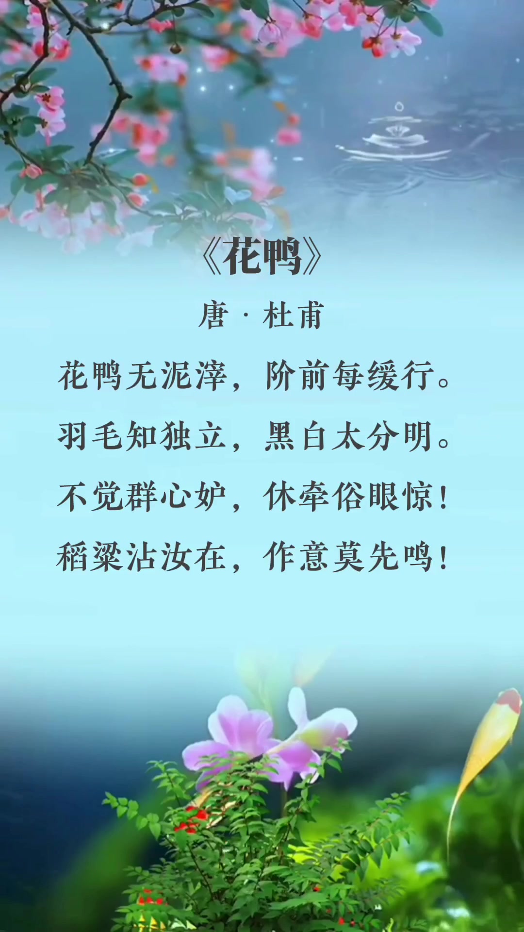 《花鸭》唐·杜甫