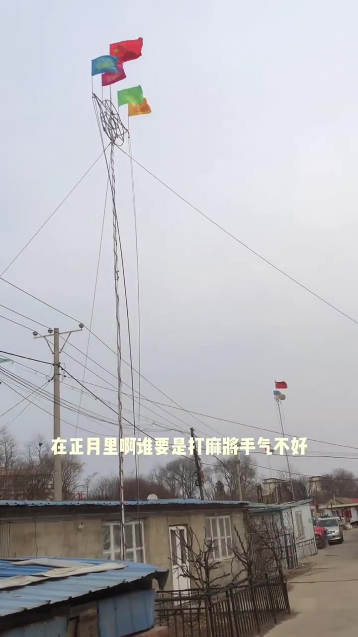 庄河过年习俗:竖灯笼杆子,杆子上用青翠的松枝绑成伞型,杆子最上端插一条一二尺长的木雕大鲤鱼
