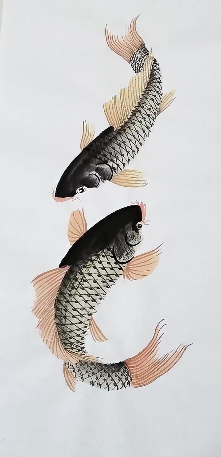 画鲤鱼