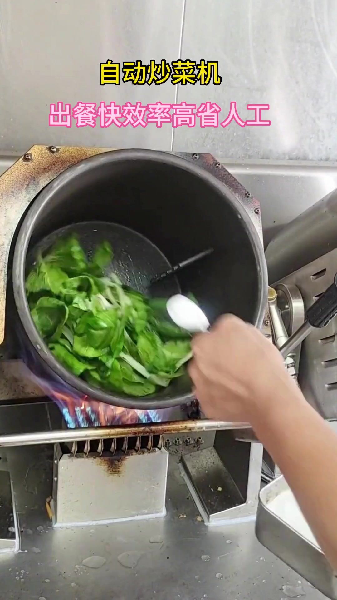 自动炒菜机餐饮老板都在用