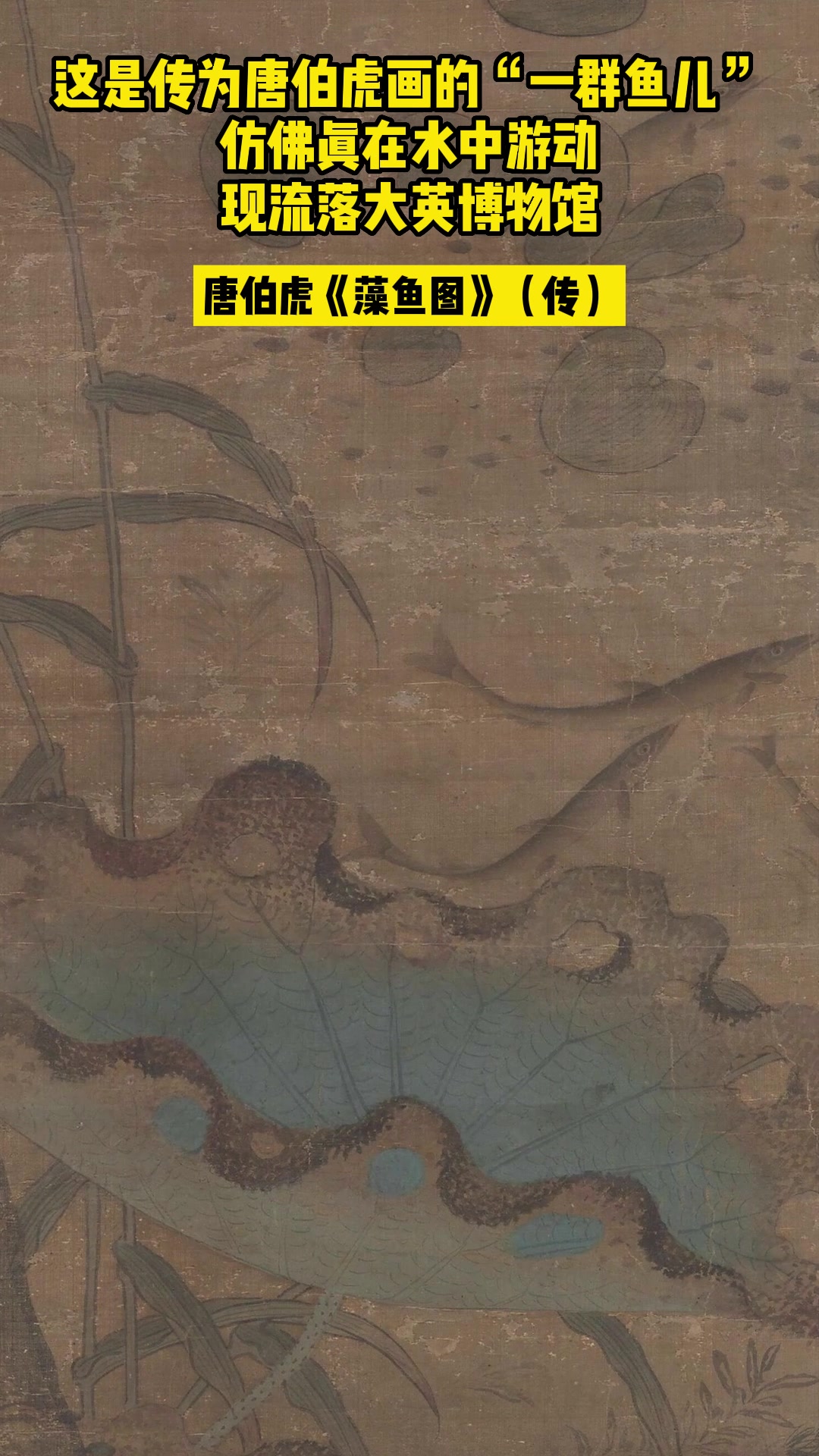 唐伯虎画的鱼儿,现流落大英博物馆
