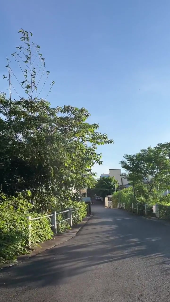 小学毕业后的二十多年,再次路过这条路……先吃份居家型的炒粉打卤再回忆那些路口的遭遇吧……海