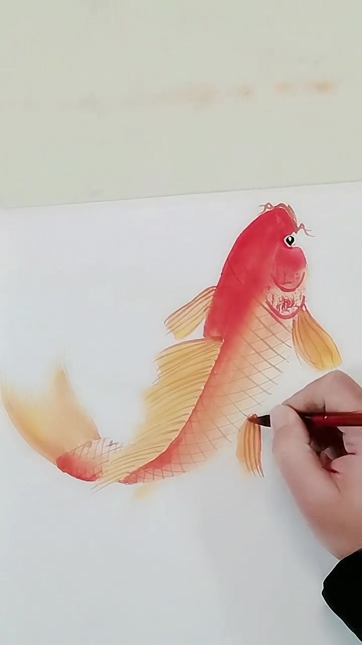 画鲤鱼
