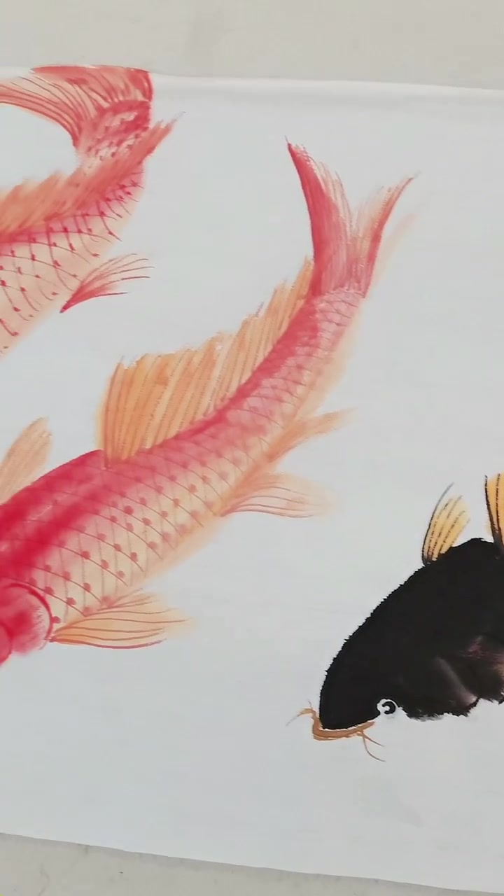 画大鲤鱼
