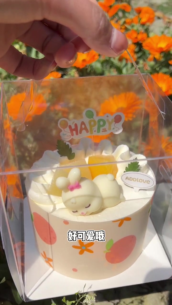 春游带上爱达乐这个可爱的蛋糕吧 爱在一起春暖花开 一口吃掉一朵云 春光好食节 一起去野餐吧
