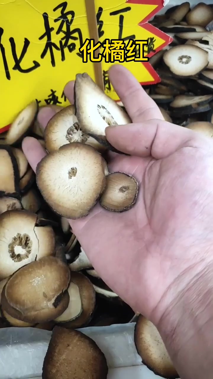 带你认识鱼腥草,车钱草,车钱子,蒲公英,高丽参,化橘红,山慈菇
