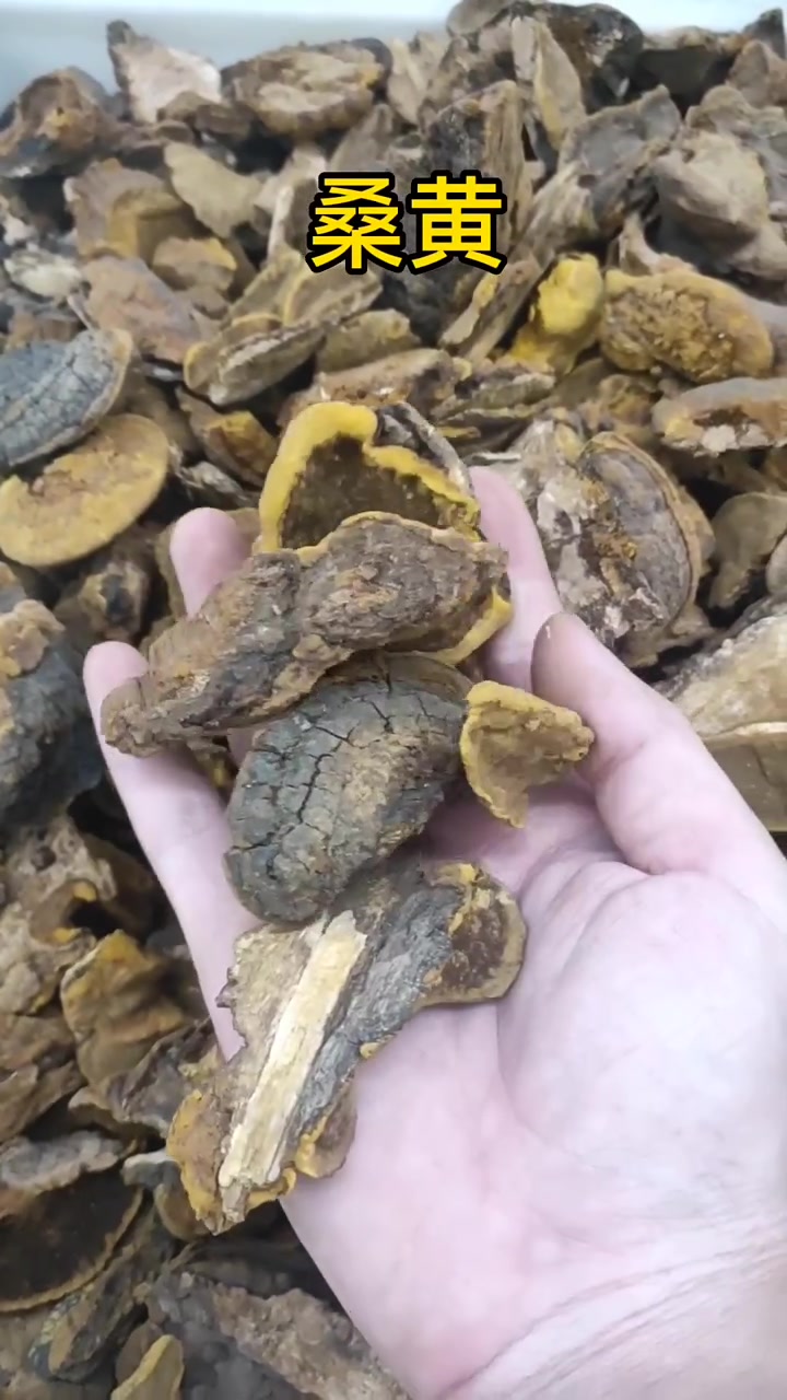 认识,血通,岩白菜,当归,刺梨,桦树茸,桑黄,地榆,燀杏仁