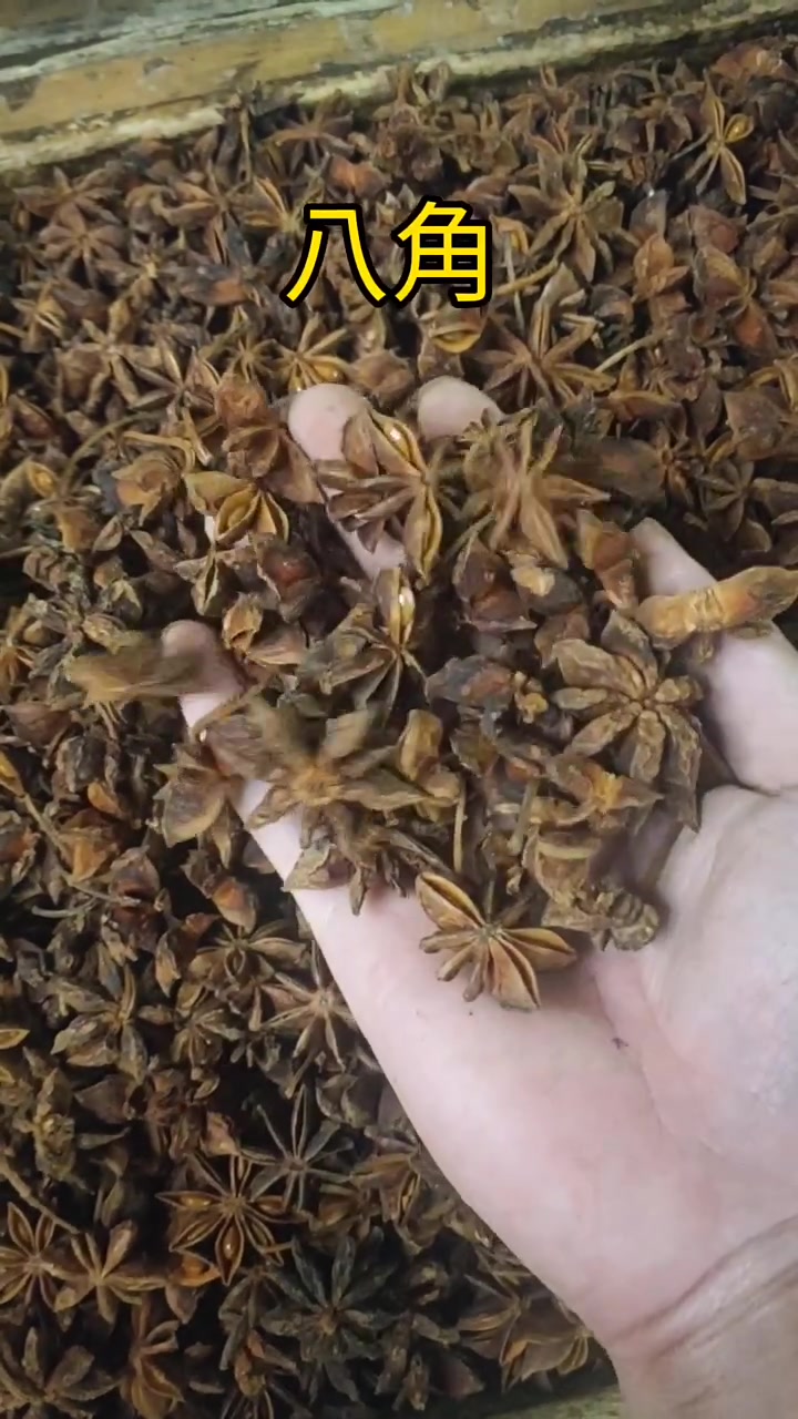 认识,八角,白豆蔻,肉豆蔻,香叶,小茴香,丁香,荜茇,高良姜
