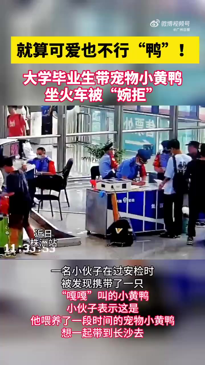「就算可爱也不行“鸭”!大学毕业生带小黄鸭坐火车被拒「捂脸」」近日,一小伙在株洲站过安检时