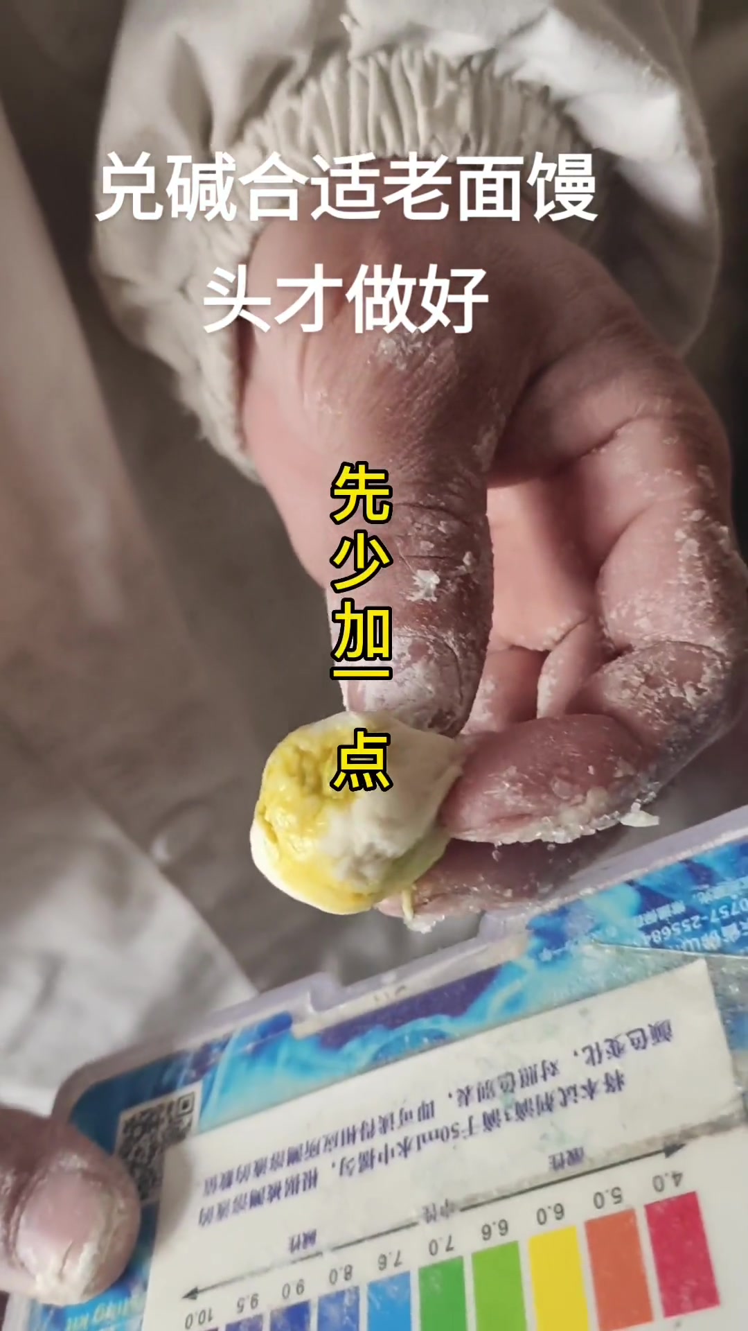 创作灵感 包子馒头 老面馒头 原创作品 经验分享