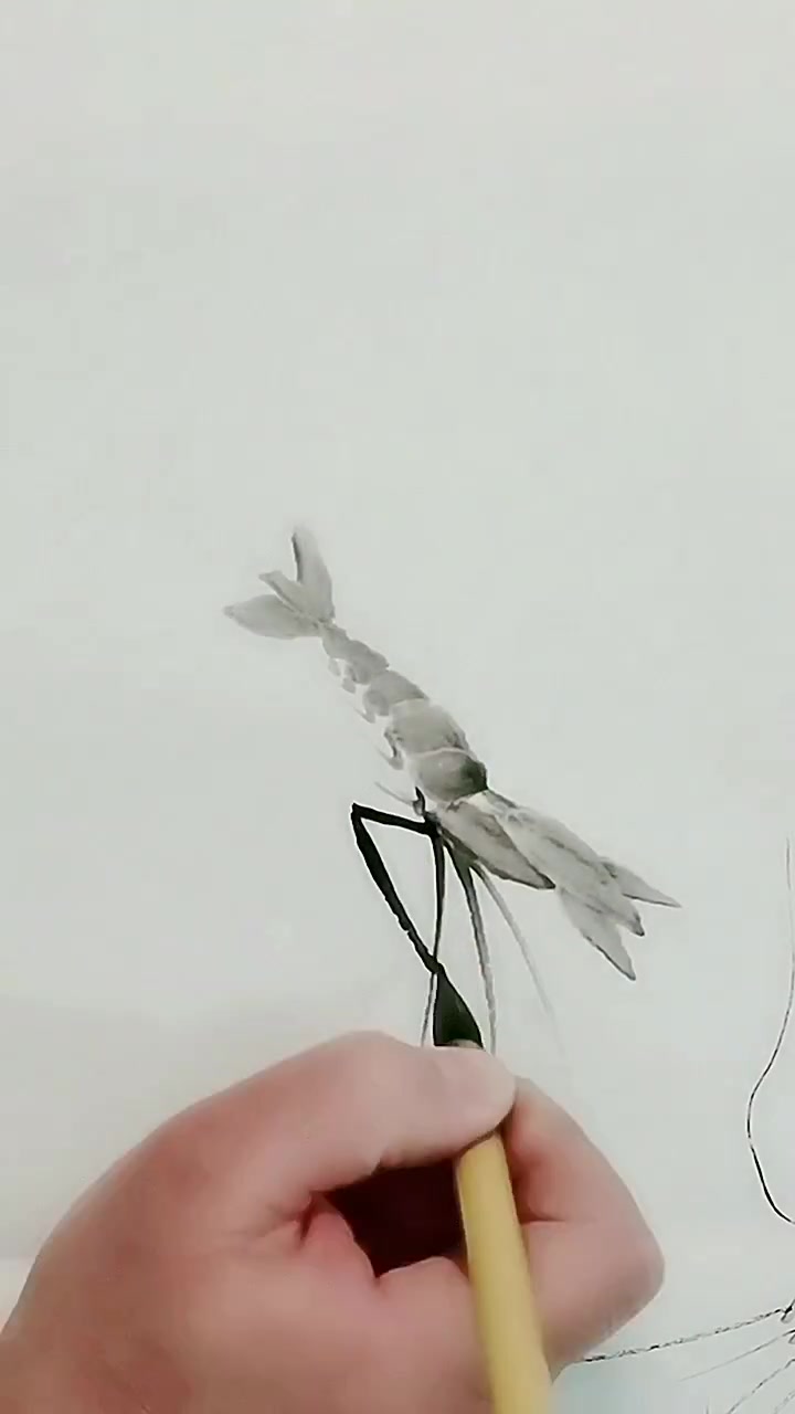 齐白石水墨虾