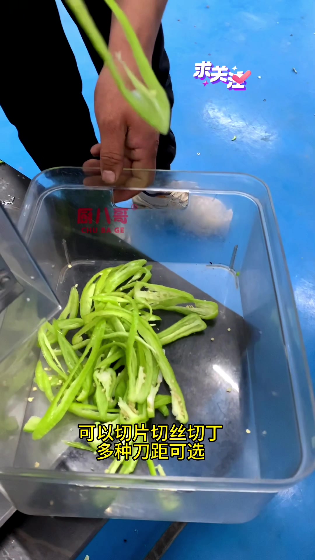 家用桌摆小型切肉机可以切片切丝切丁