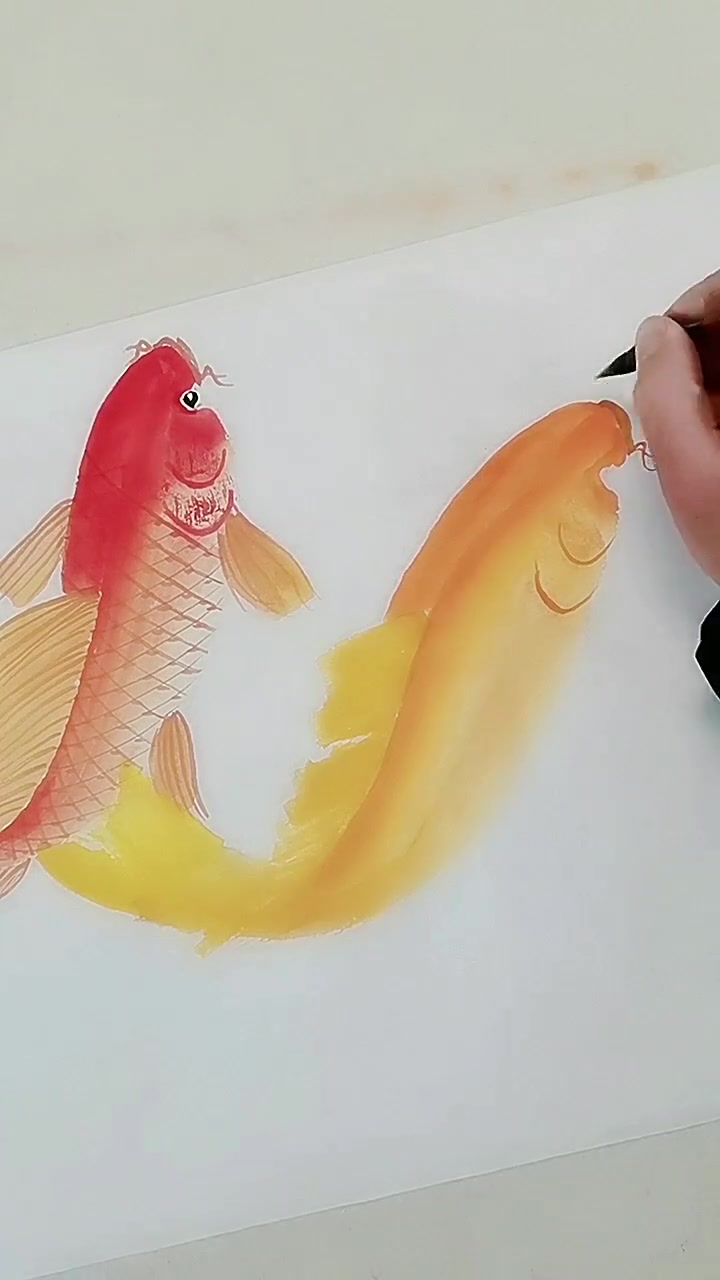 画鲤鱼