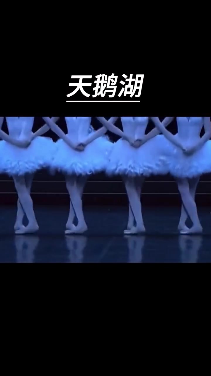 来一场近距离芭蕾舞天鹅湖欣赏 天鹅湖 周末去哪玩 芭蕾舞