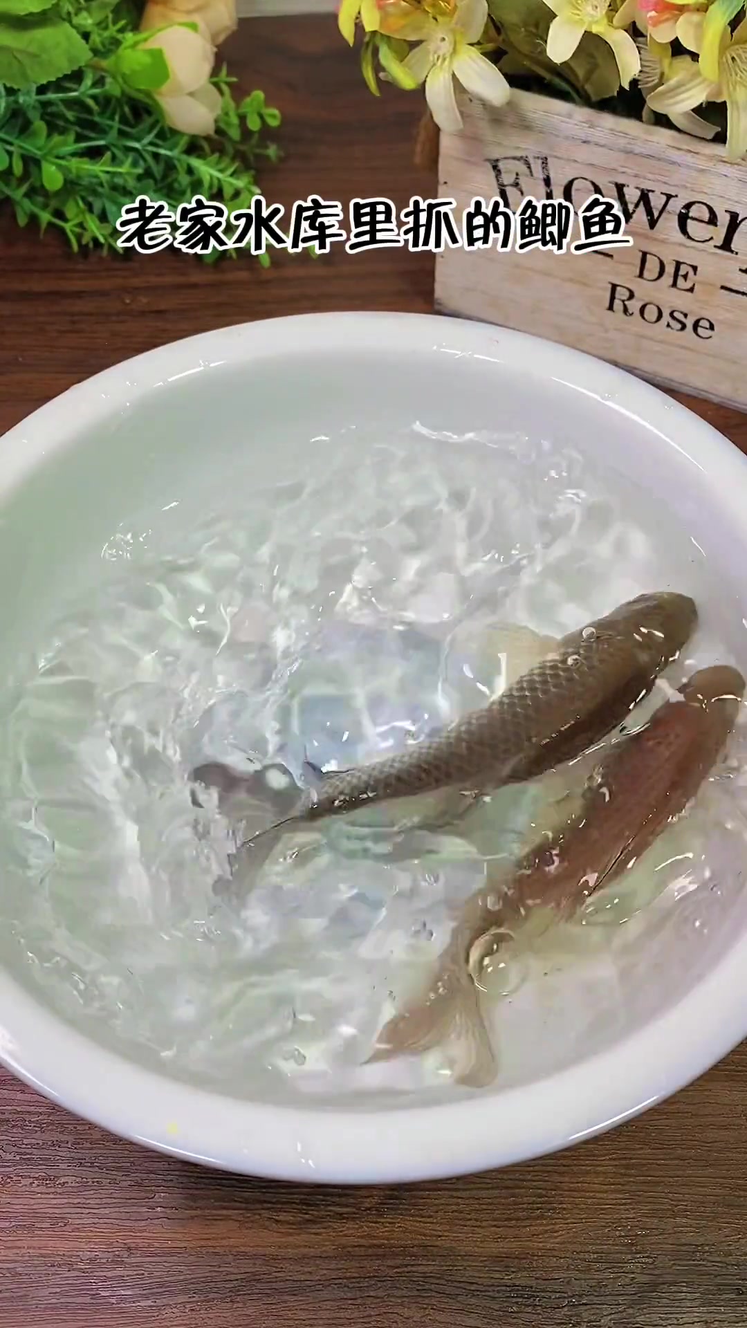 这应该是最适合给宝宝吃鲫鱼的方法,鱼汤特别鲜美鲫,非常好喝,营养满满 鲫鱼汤 宝宝辅食 裙
