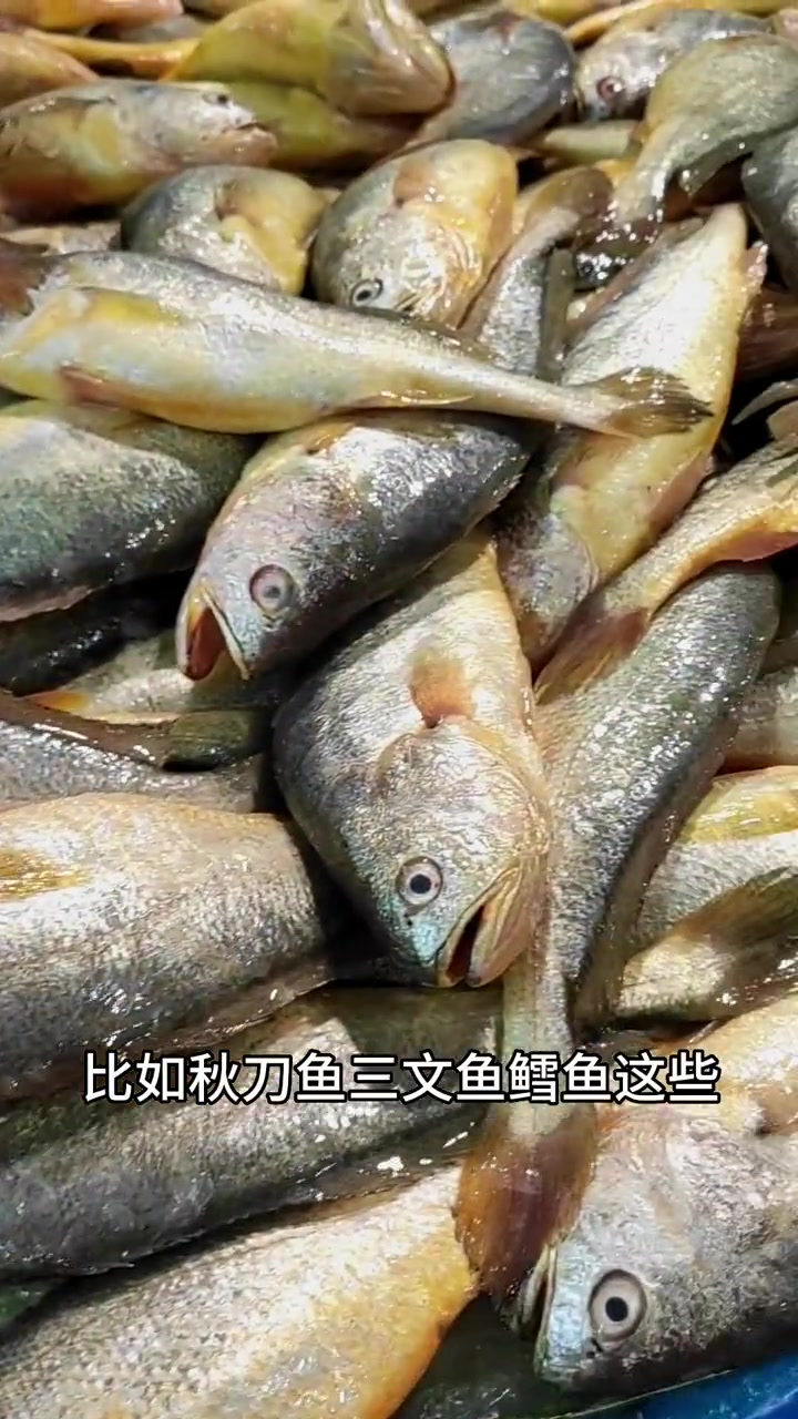 QQ弹弹酸酸甜甜的 DHA软糖,嚼着嚼着就把 dha 给补了,孕妇儿童 都可以吃 孕期囤货