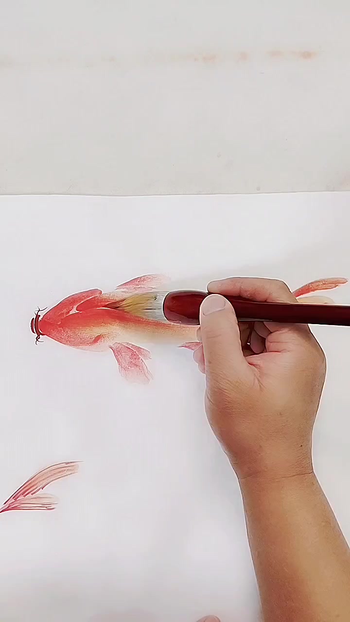 画鲤鱼
