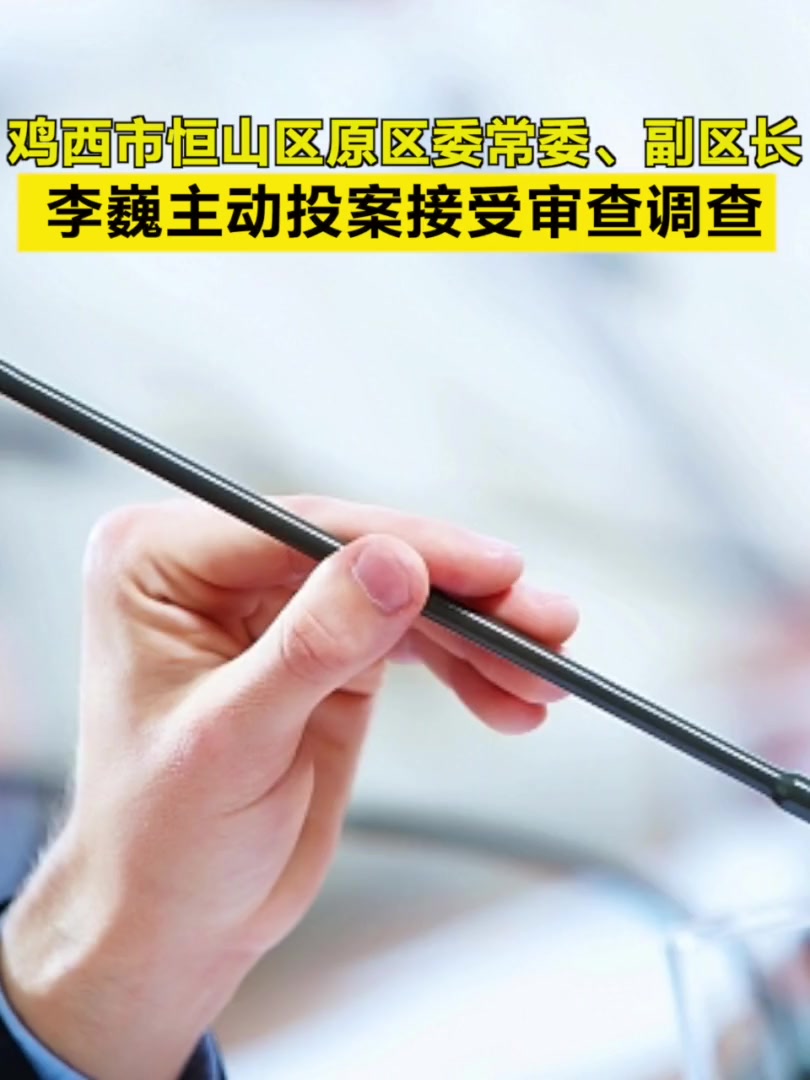 鸡西市恒山区原区委常委、副区长李巍主动投案接受审查调查