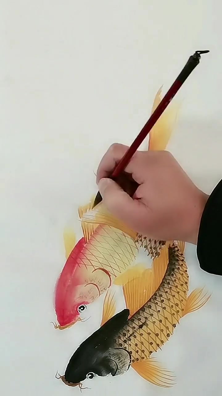 画鲤鱼