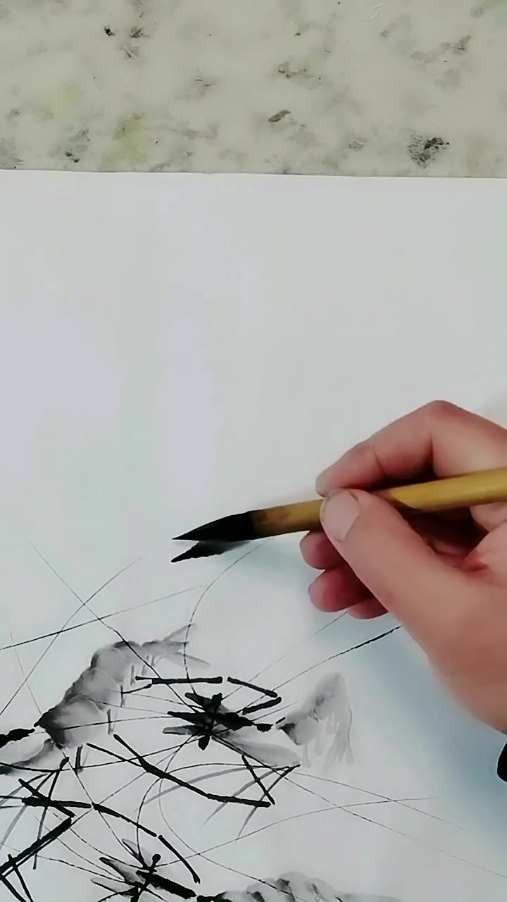 画水墨虾 齐白石