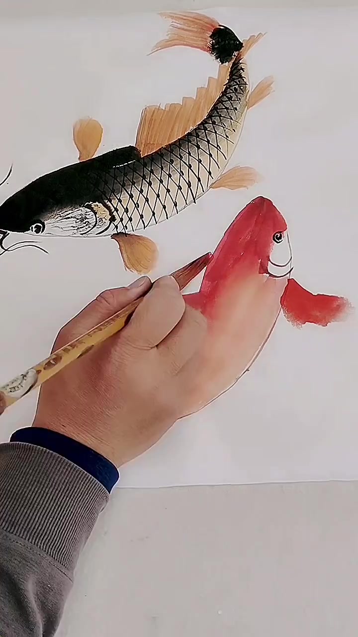 画大鲤鱼