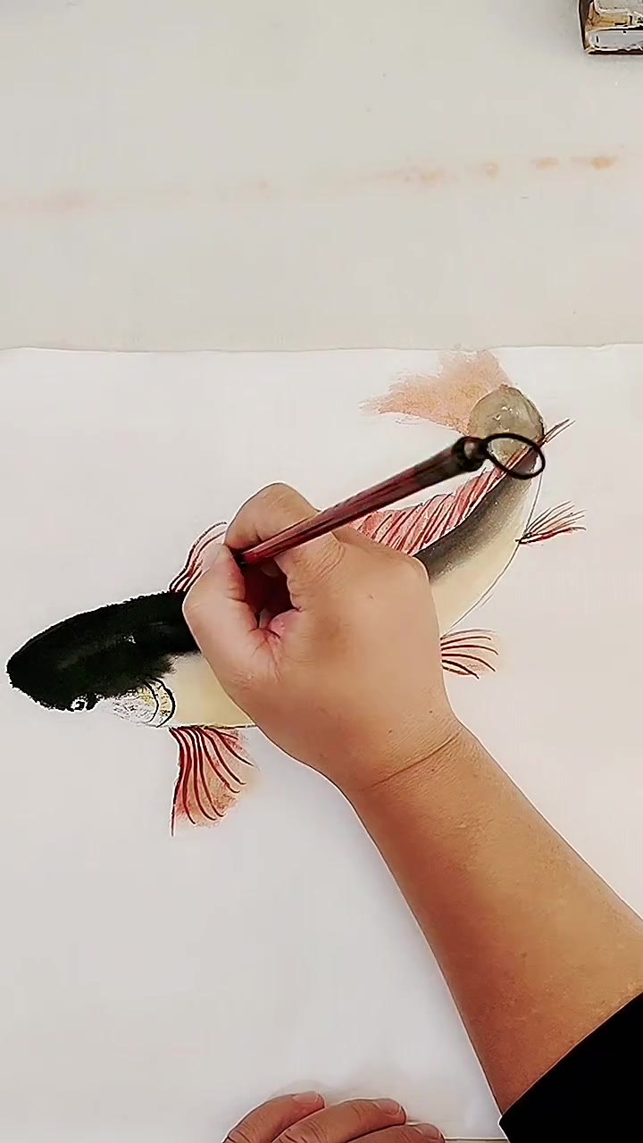 画鲤鱼