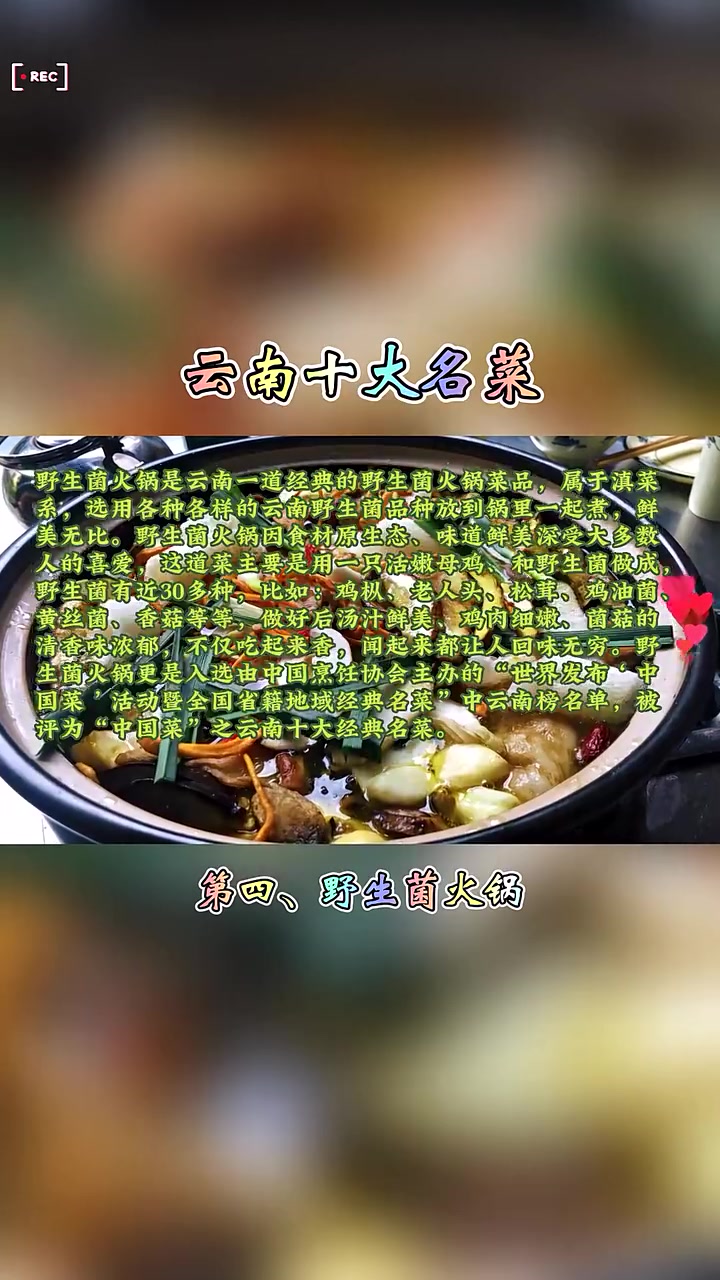 2023年云南十大名菜排行榜出炉!盘点云南有哪些好吃的经典滇菜?