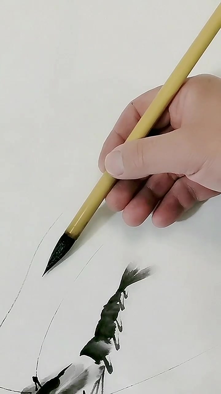 画齐白石水墨虾