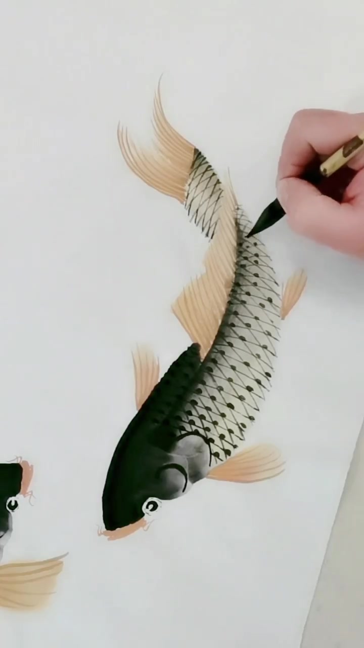 画鲤鱼