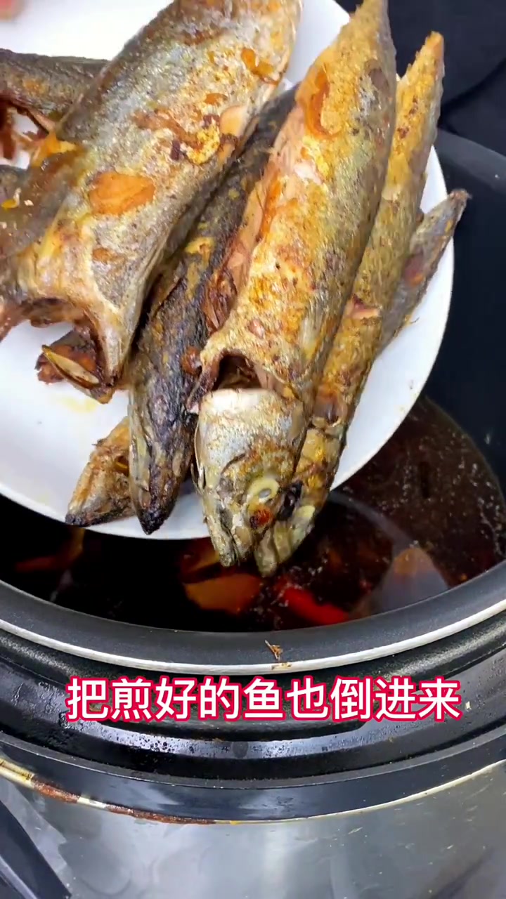 今天是小雪时节,每年一到冬天鲅鱼在我们东北就是家家不吃的菜,不住海边爱吃鲅鱼,这和猫爱吃鱼