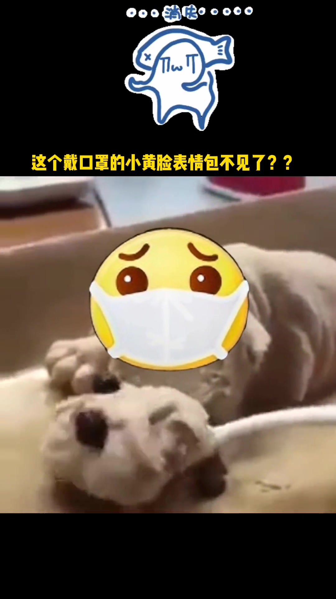 表情包没了
