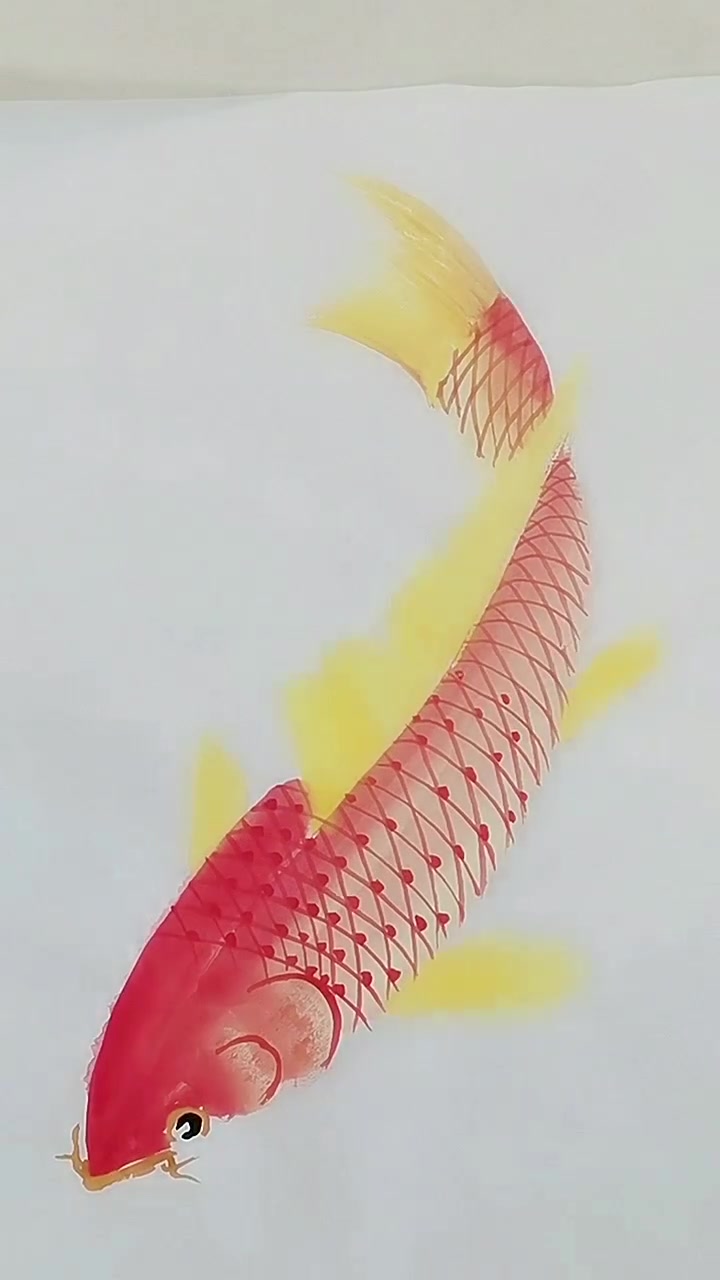 画鲤鱼