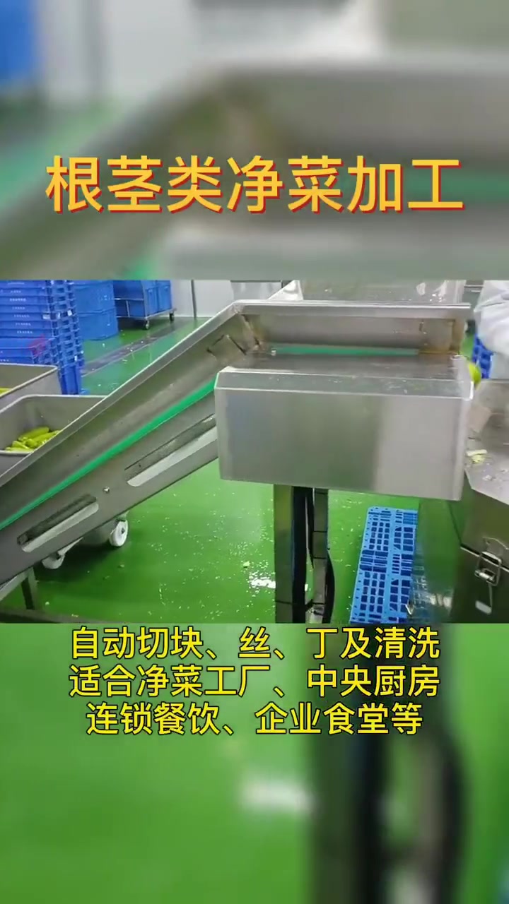 山东根茎类净菜加工设备