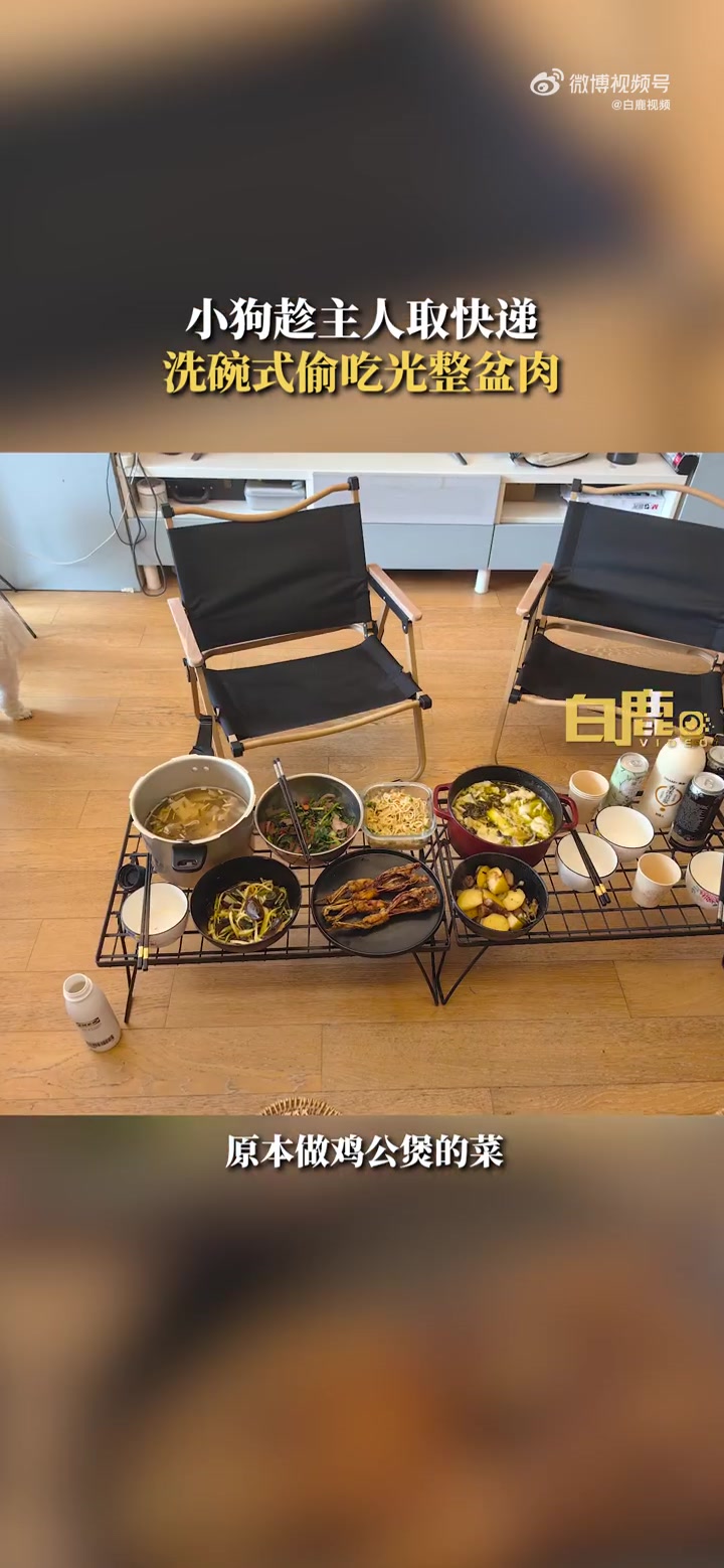 「小狗趁主人取快递洗碗式偷吃整盆肉」7月2日,浙江杭州。小狗趁主人取快递洗碗式偷吃光整盆肉