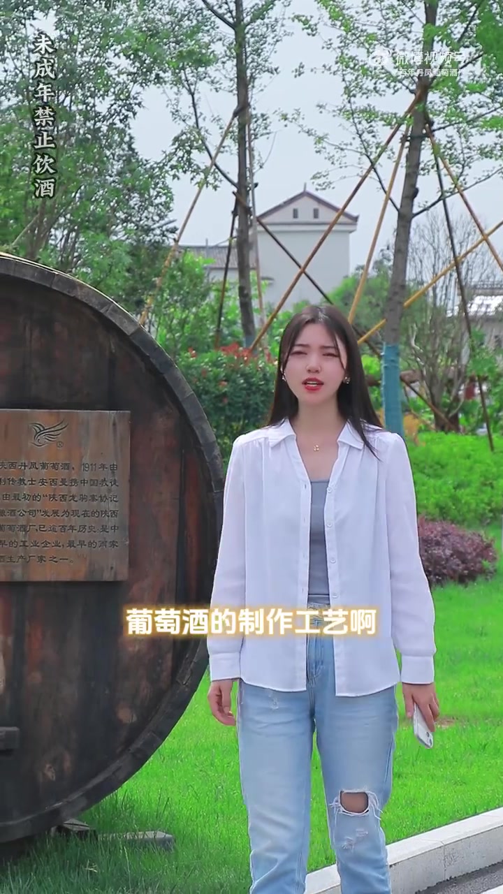 陕西丹凤葡萄酒厂(丹凤酒庄)始创于1911年,距今112年 千年陕味,百年丹凤 非遗传承酿