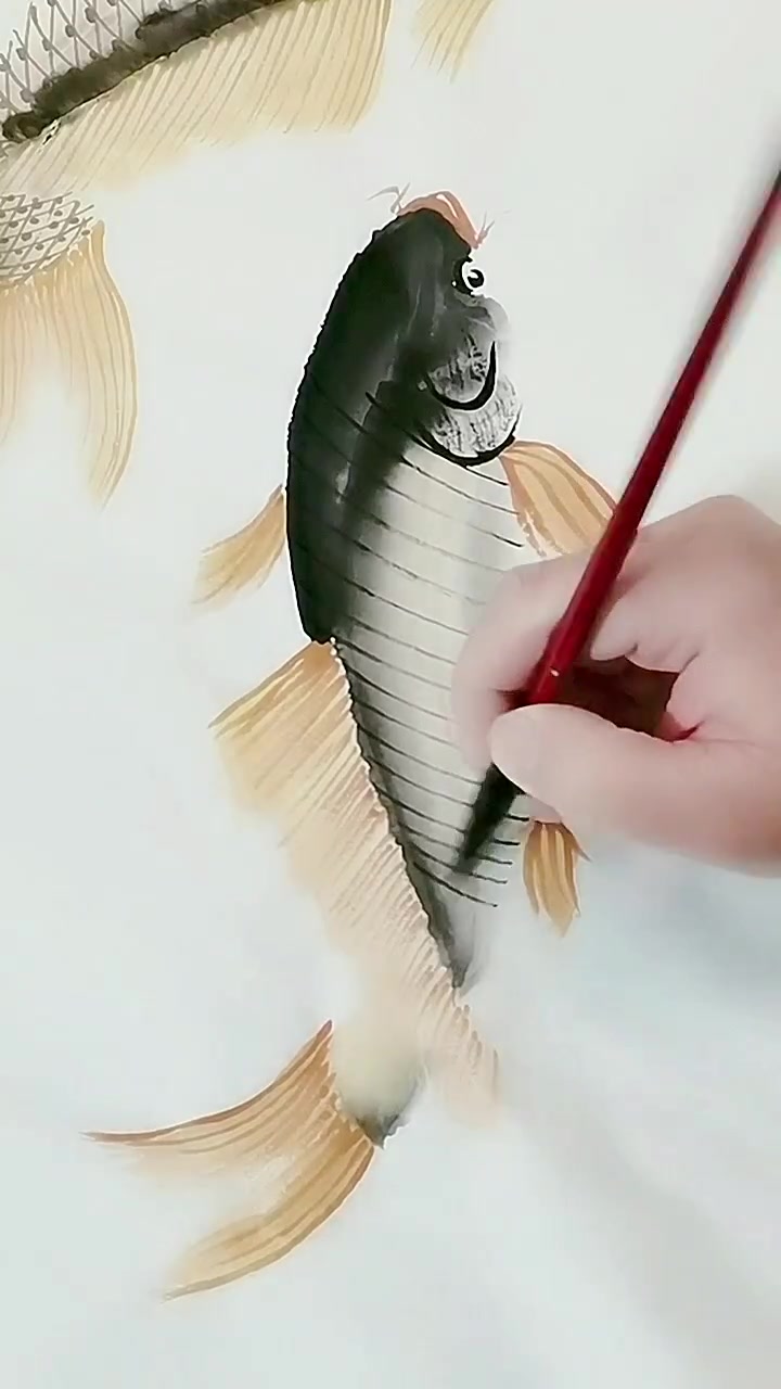 画鲤鱼
