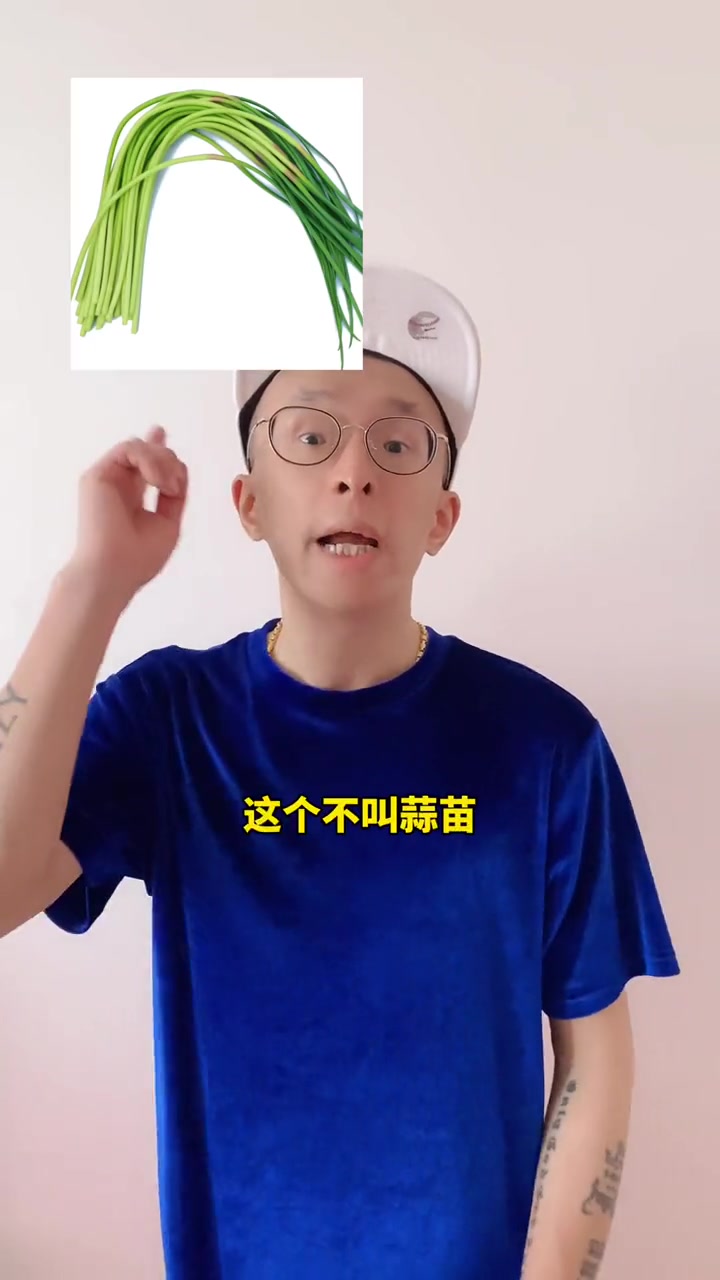 第82集|南方与北方的叫法差异 南方的朋友不用回避 上海的朋友回避一下 上海美好推荐官 南
