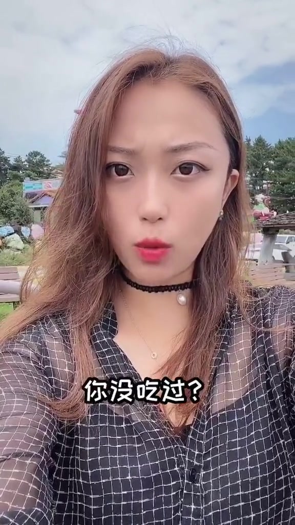 第19集|小鱿鱼无论身体长到多大,触手都只有一寸长。所以韩文名字叫,直译的话是 一寸!海鲜