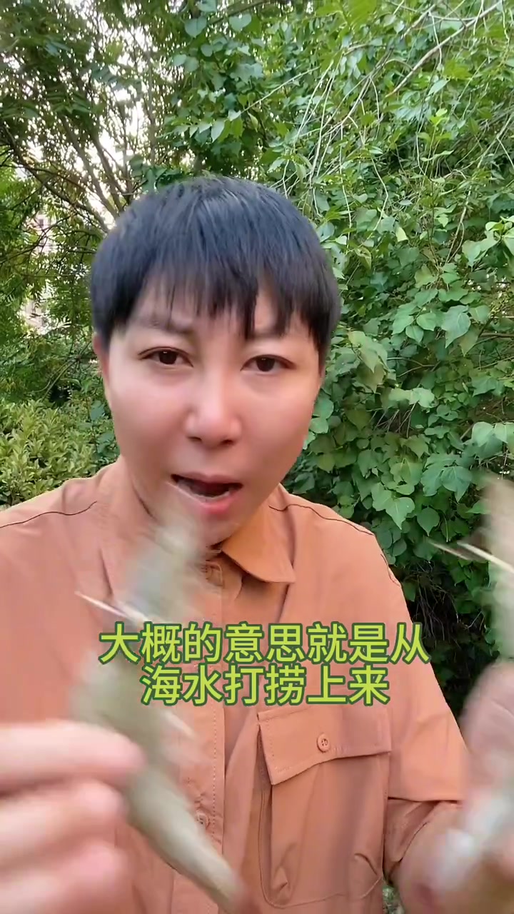 南美对虾国内养殖跟进口的有啥区别
