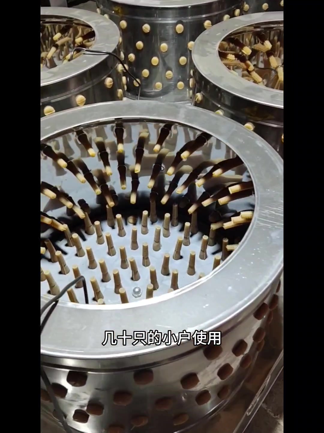 小型滚筒脱毛机鸡鸭鹅脱毛机家禽脱毛机