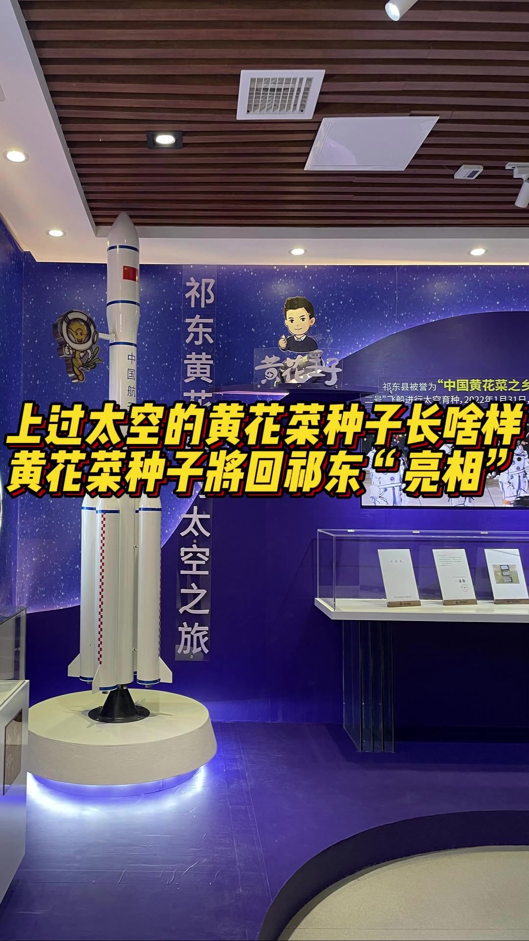 上过太空的黄花菜种子、黄花菜饺子长啥样?第三届祁东黄花菜节暨食药同源产业发展大会告诉你