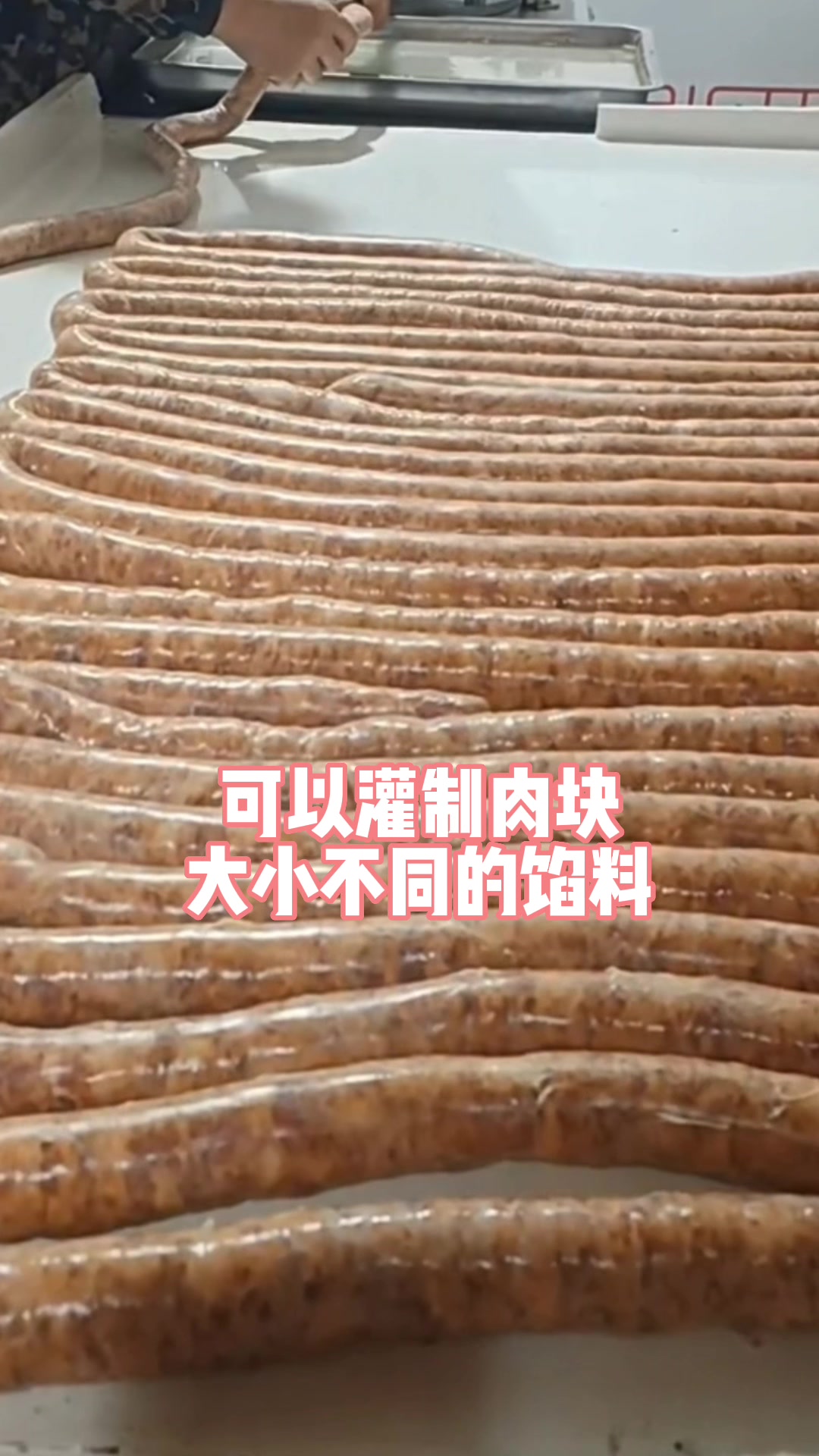 香肠腊肠红肠专用灌肠机大肉条大肉块液压灌肠机器,速度可以调节