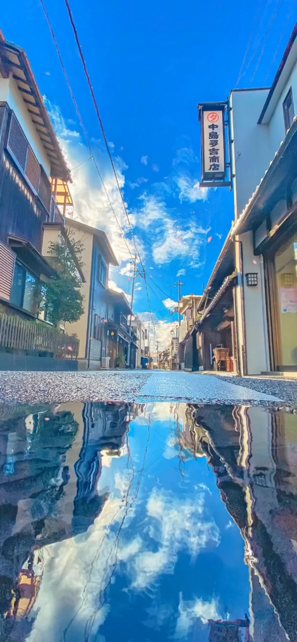 4K动态壁纸 高清壁纸 手机壁纸