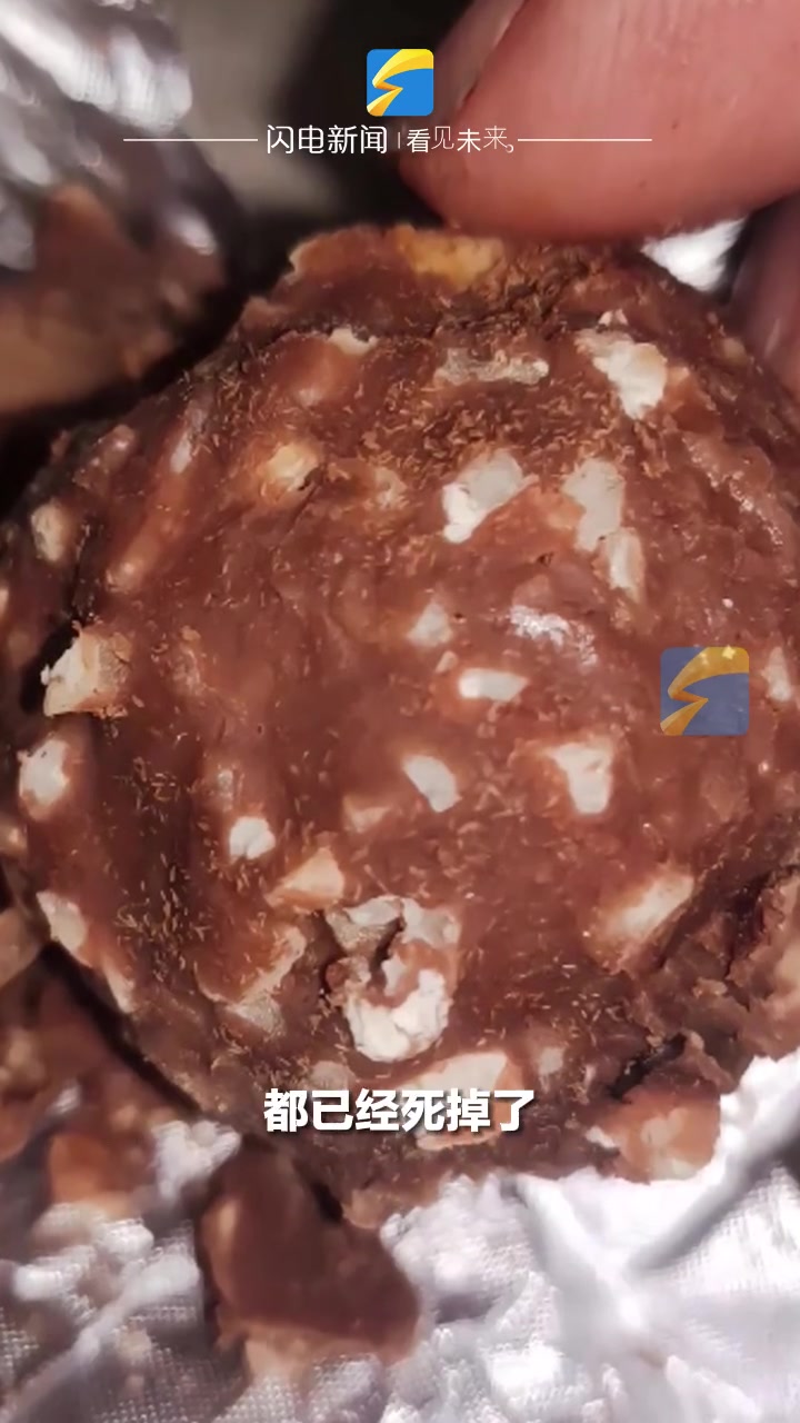 7月8日,上海。女子买巧克力吃着吃着发现腿上有虫子,仔细一看……巧克力 惊不惊喜意不意外